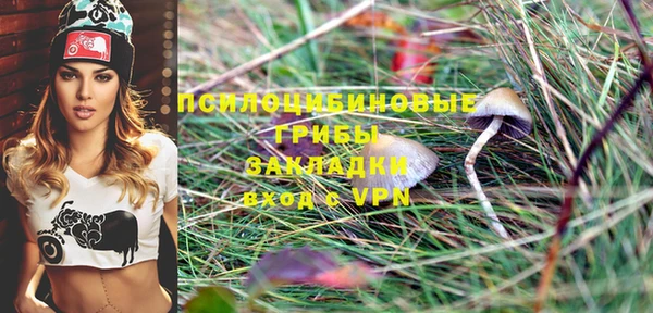 мяу мяу мука Алексин
