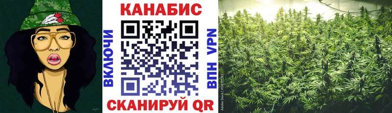 купить закладку Новая Ляля darknet наркотические препараты Канабис планчик